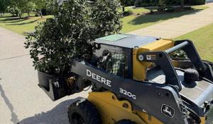 Rootbound Property Care