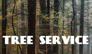 Tree Service Frisco .