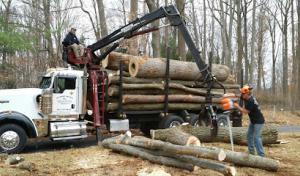 Richard Brown Inc. Tree service