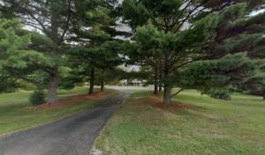 Gilmore's Stump Removal