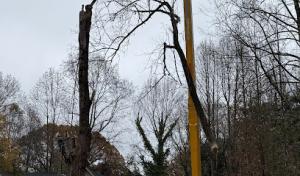 Doc’s Tree Service