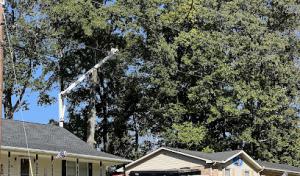 Upper Cumberland Tree Care & Land Management