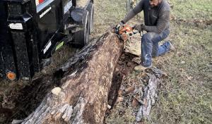 Tesla Tree Trimming-Tree Removal-Tree Cutting Services