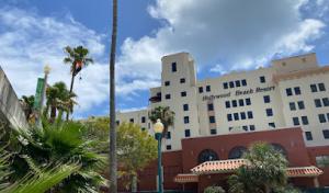 High Standards Tree Care