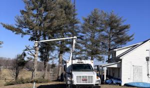 A-1 Nantz & Sons Tree Service