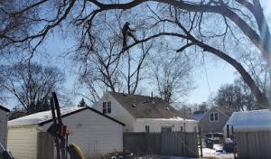 K&B Tree Service