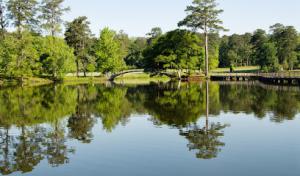 Southern Arbor Source