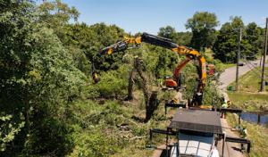 Southbury Tree Service