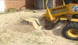 River Rock Tree Service