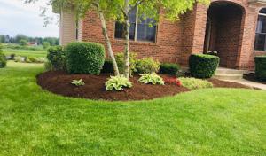Ruben Armas Landscaping - Landscaping Service & Lawn Care Sycamore IL