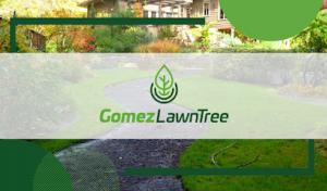 Gomez Lawn Tree