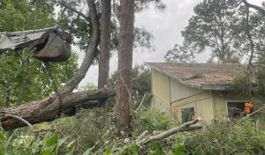 E Mykael Tree Trimming & removal service