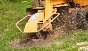 Dickson Tree Surgeon