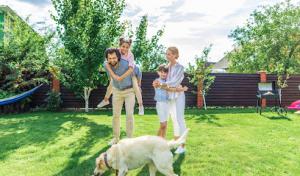 SavATree - Tree Service & Lawn Care