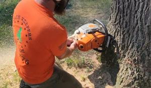 Oathkeepers tree care