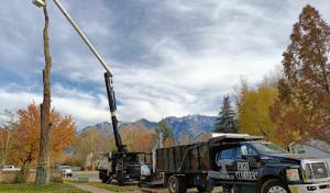 High Climbers Tree Care