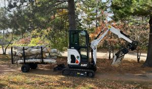 Tettegouche Treecare