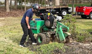 Elite Stump Grinding