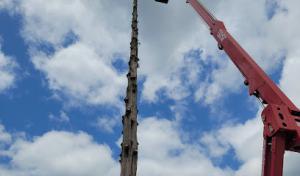 Branching Out Tree Care