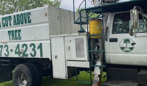 A Cut Above Tree Service