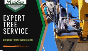 Kristian Tree Service