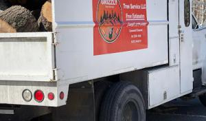 Grizzly Tree Service