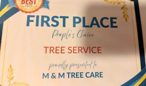 M&M Tree Care