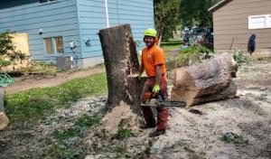 Twin Pines Tree Care & Landscaping