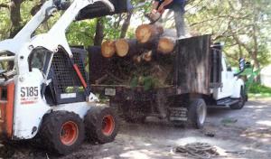 What About Bob's Tree Service