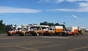 Mountain Tree Service