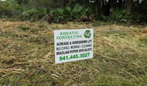 ACI Tree Removal & Land Clearing