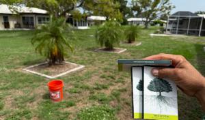 MX Trees LLC (Board Certified Master Arborist FL-9553BM)