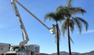 Estates Tree Service