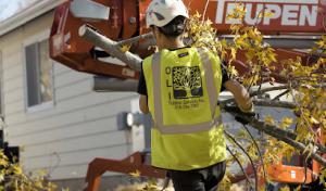 OLI Outdoor Services