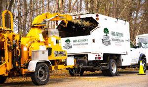 Seacoast Tree Care