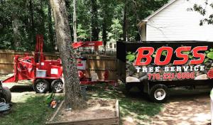 Boss Tree Service