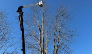 Medeiros Property Services