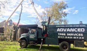 Advanced Tree Services