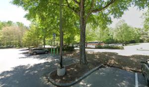 High Climbers Tree Service of Peachtree City