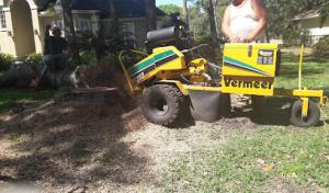 Southern Roots Tree Service