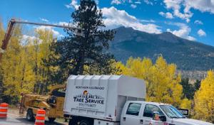 Northern Colorado Tree Service