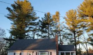 Affordable Septic Systems