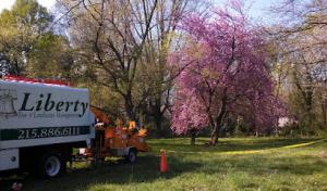 Liberty Tree & Landscape Management