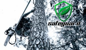 Safeguard Tree Service