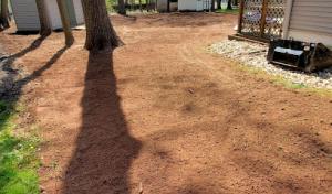 Flores Tree Service & Landscaping