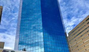 Bartlett Tree Experts