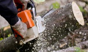 Tree KO Tree Service