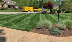 Grade A Cuts Lawn & Tree Service