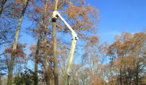 Price's Excavating & Tree Service