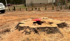 BRIGHT’S CAROLINA TREE SERVICE